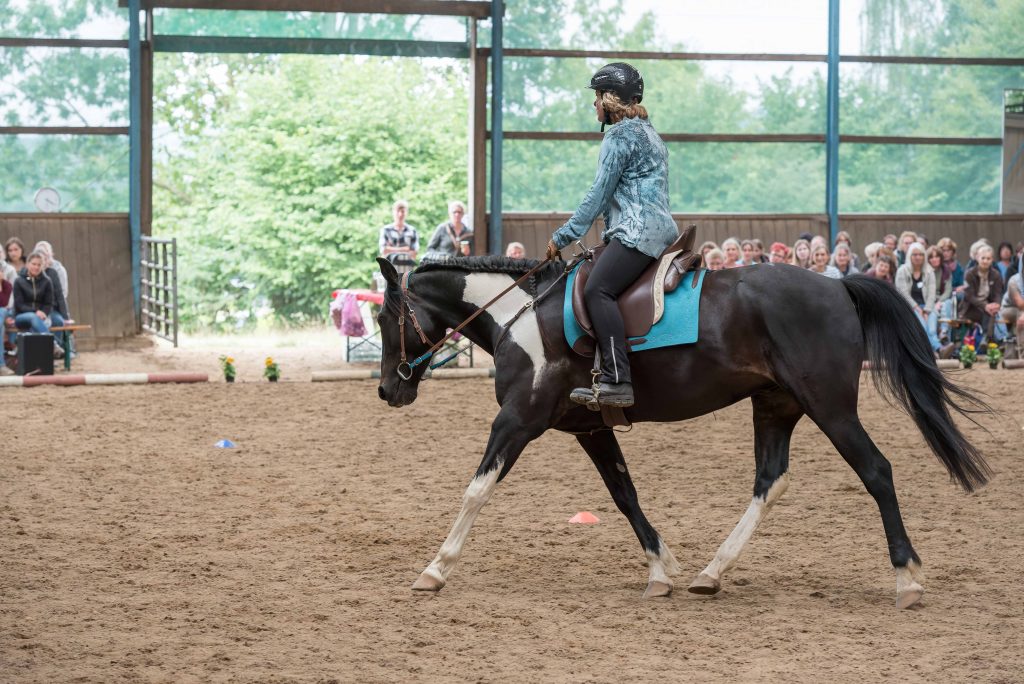 Kaja Stührenberg öffentliches Training Tölt Kreuzung irish Leisure Horse