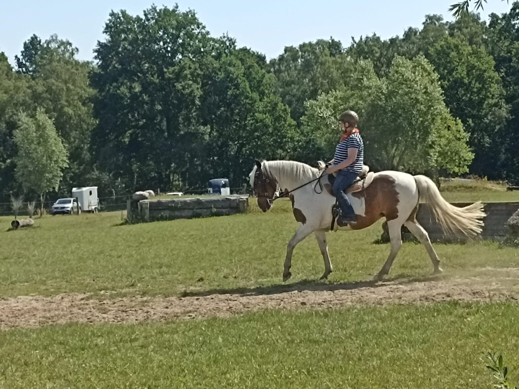 Kaja Stührenberg Lehrgang Geländeplatz Spotted Saddlehorse